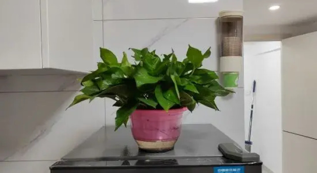 Wuxi Huiyuju Apartment, Varaa Huoneisto Tangtou Jiangsu