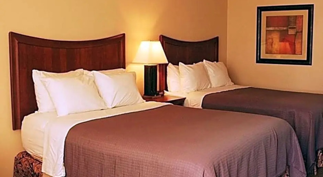 Standard- værelse Trade Winds Central Inn