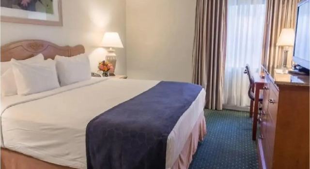 Номер Standard Maison Dupuy Hotel
