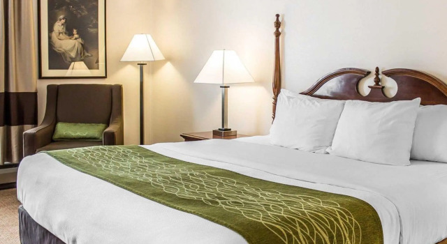 Двухместный номер Standard City Express by Marriott Petoskey Harbor Springs