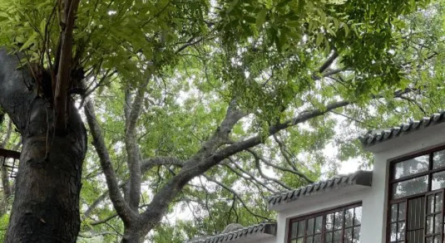 Chao · Qingwaxia Hotel