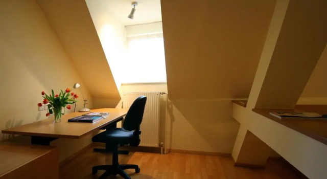Двухместный номер Standard Мансарда Apartments Villa Boltez