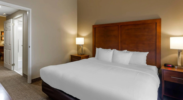 Двухместный люкс Comfort Inn & Suites Peachtree Corners - Norcross