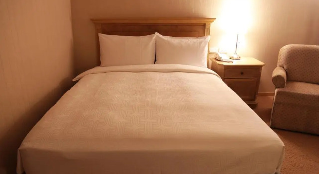 Номер Superior Chiayi Maison de Chine Hotel