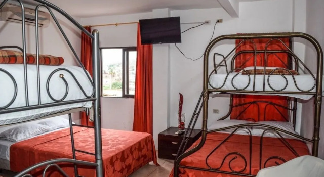Hostal Humpback Internacional