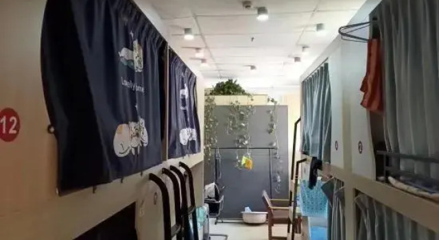 Small Youth Hostel Homestay