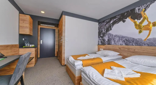 Номер Standard Hotel Scout