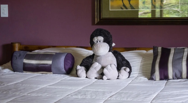 Monos Locos - Portasol Vacation Rental