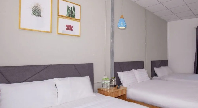 Thin Trang Hotel, Rezervovat Hotel Dalat Lam Dong