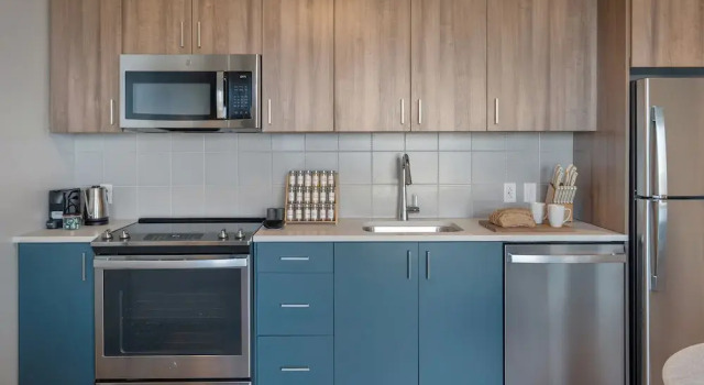 Апартаменты Luxury Hyatus Designer Residences Somerville