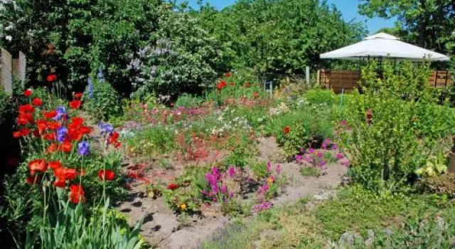 Ferienbungalow Saathoff