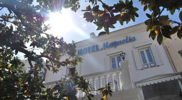 Le Magnolia