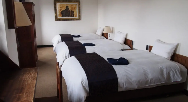Трёхместный номер Economy LC Goryokaku Hotel