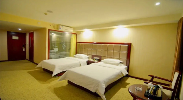 Двухместный номер Standard Vienna Hotel Xi'an Railway Station