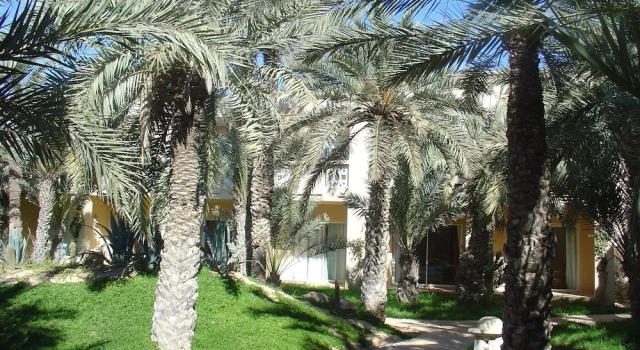 Номер Economy Hotel Zita Beach Resort