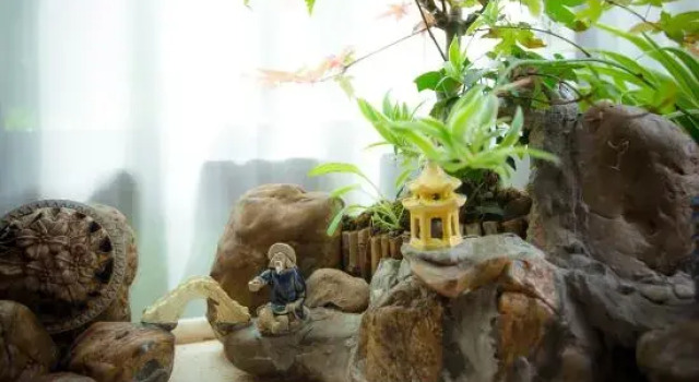 Shengsi Courtyard building homestay, Book Hotel Shengsi Zhejiang