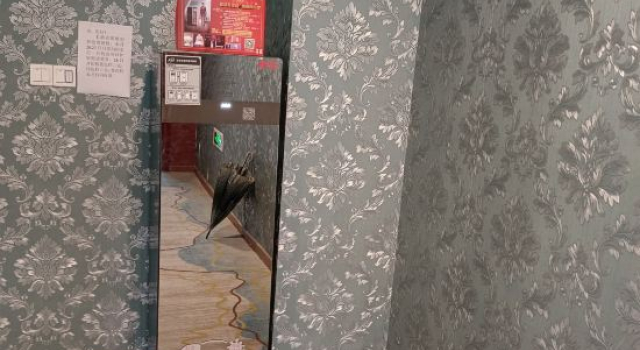 Suiyuan Chuangxiang Hotel (Ningbo Qinglinwan Branch), Prenota Hotel Hotel a Ningbo con parcheggio, Parcheggio