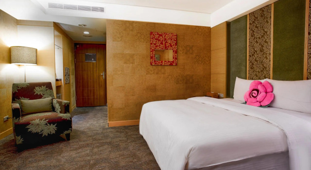 Двухместный номер Superior Cai She Hotel