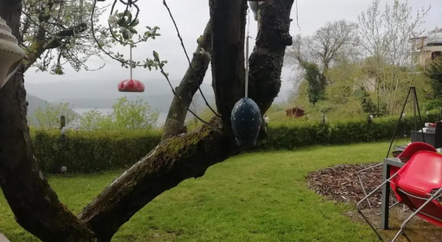 Коттедж с 5 комнатами Haus Blick am Edersee
