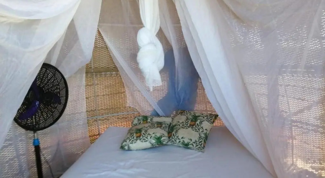 Glamping UVA Playa, Réserver Camping Sabanetica Sucre
