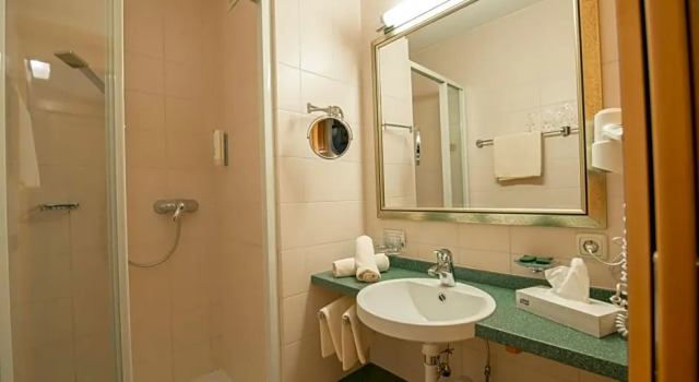 Номер Standard Hotel Riedl