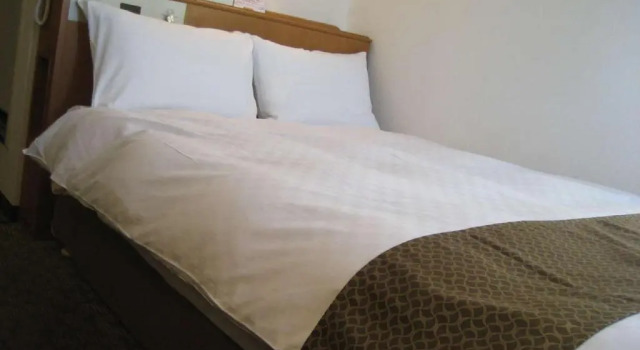Двухместный номер Standard Matsumoto Tourist Hotel