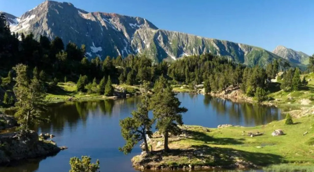 Апартаменты Charmant studio cabine COSY à 100 m des pistes