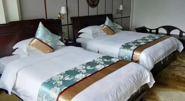 Люкс Deluxe South Asia Hotel