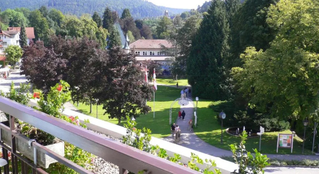 Двухместный номер Standard Hotel Harzer am Kurpark