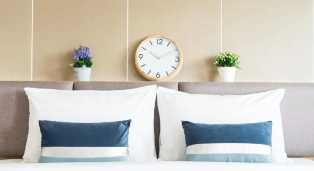 Номер Standard APA-TREE Boutique Hotel