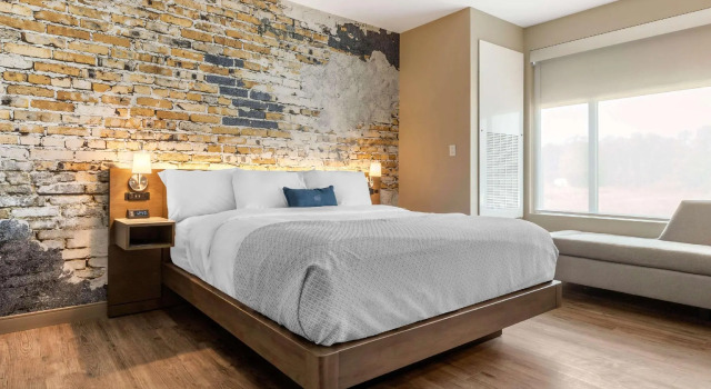 Двухместный люкс Cambria Hotel Fort Mill