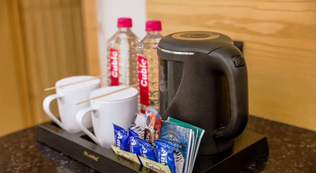 Номер Standard Ananta Spa & Resort Jaipur