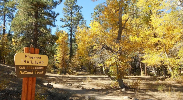 Wolf View Lodge, Prenota Casa vacanze Hotel a Moonridge con parcheggio, Parcheggio
