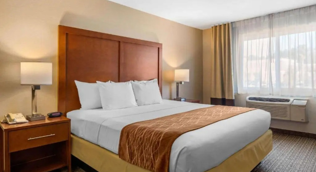 Двухместный номер Deluxe Comfort Inn & Suites Murrieta Temecula Wine Country