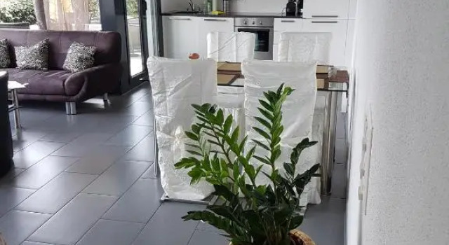 Brissago: 3.5 Zi-Wohnung an extrem ruhiger Lage mit fantastischem Ausblick