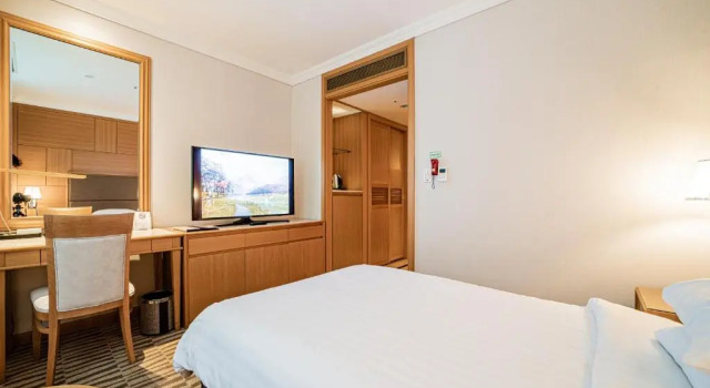 Одноместный номер Superior Hotel Geumosan