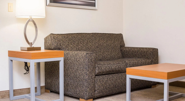 Двухместный люкс Holiday Inn & Suites Bolingbrook by IHG