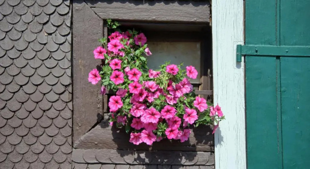 Gasthaus Pension Zum Löwen