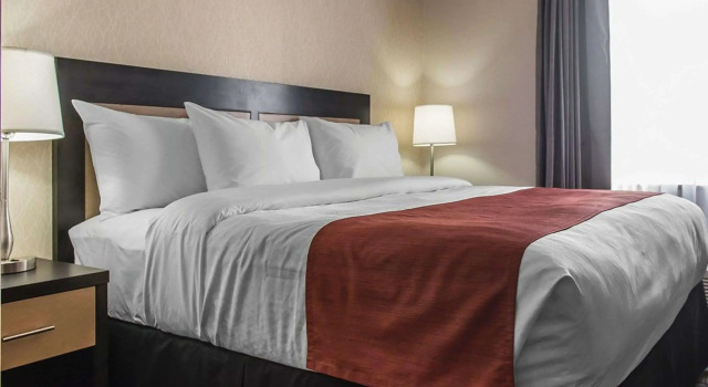 Двухместный люкс Quality Inn & Suites Kingston