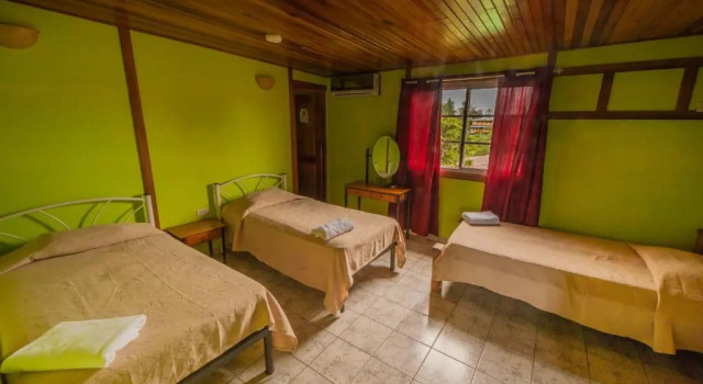 Трёхместный номер Standard Hotel Posada Los Delfines