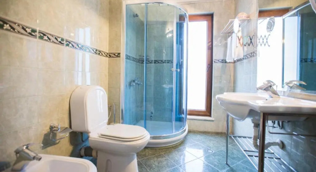 Двухместный номер Deluxe Orchidea Hotel