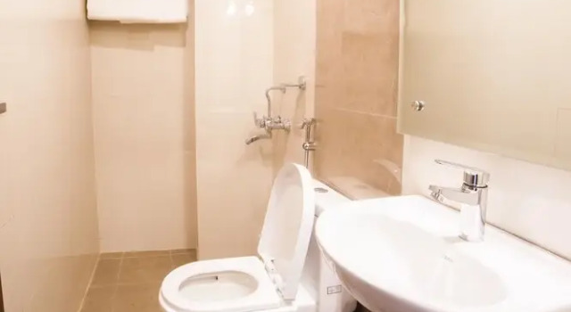 Номер Standard Ganapati Airport Hotel