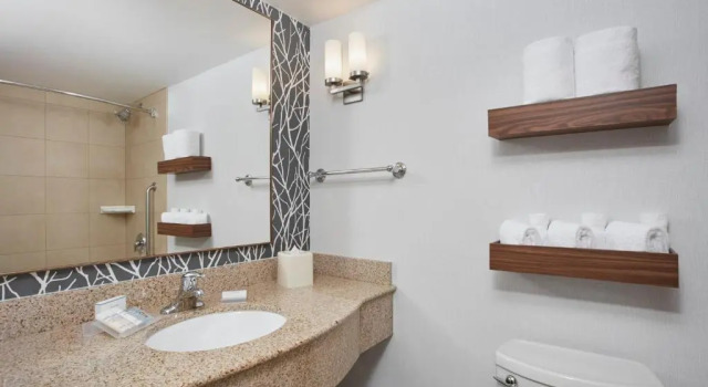 Четырёхместный номер Premium Hilton Garden Inn Schaumburg