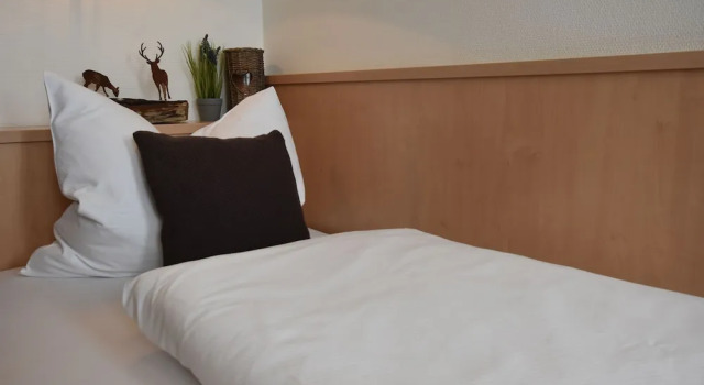 Номер Comfort Berghotel Zollersteighof