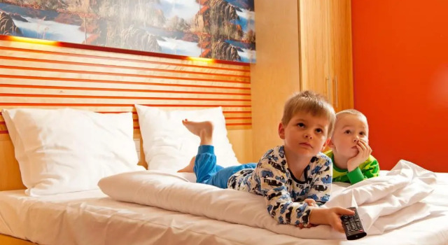 Номер Standard JUFA Hotel Grünau im Almtal
