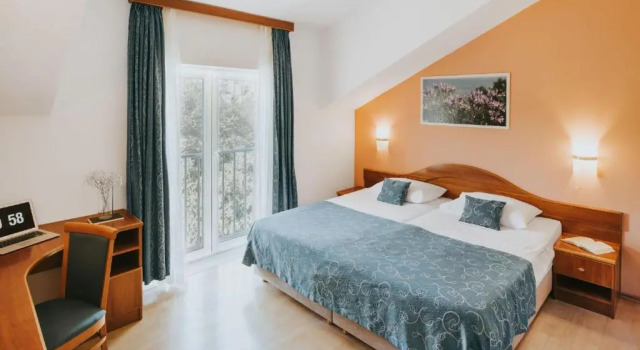 Двухместный номер Standard Hotel Ivka
