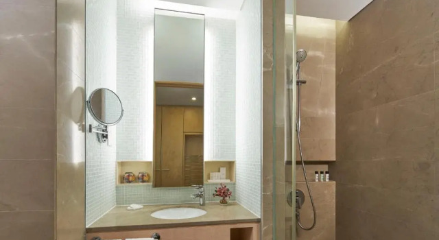 Deluxe Plus Double room Rendezvous Grand Hotel Singapore