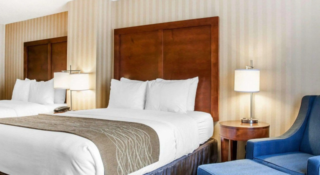 Четырёхместный номер Standard Comfort Inn & Suites Sturbridge-Brimfield
