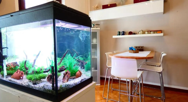 Апартаменты Garden Sweet House Desenzano