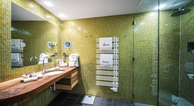 Номер Standard Hotel Krallerhof